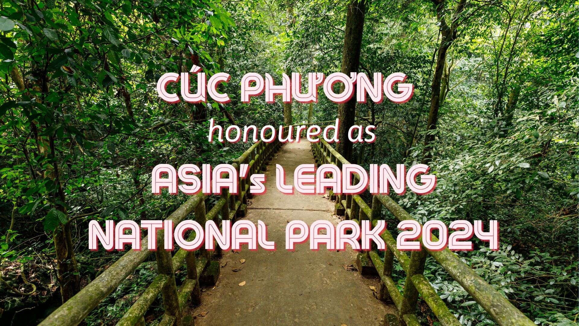 Cuc Phuong honoured as ASIA's leading national park 2024 - Cúc Phương là Vườn quốc gia hàng đầu Châu Á 2024